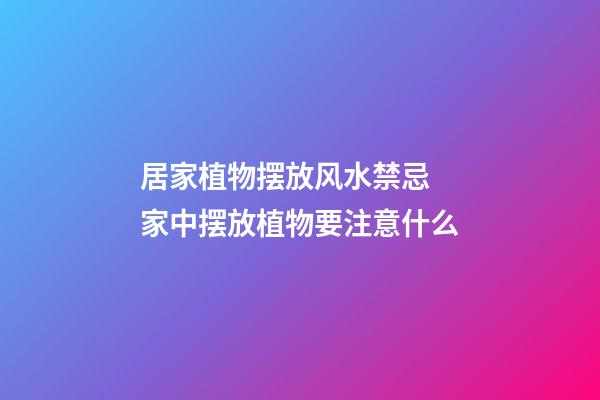 居家植物摆放风水禁忌 家中摆放植物要注意什么